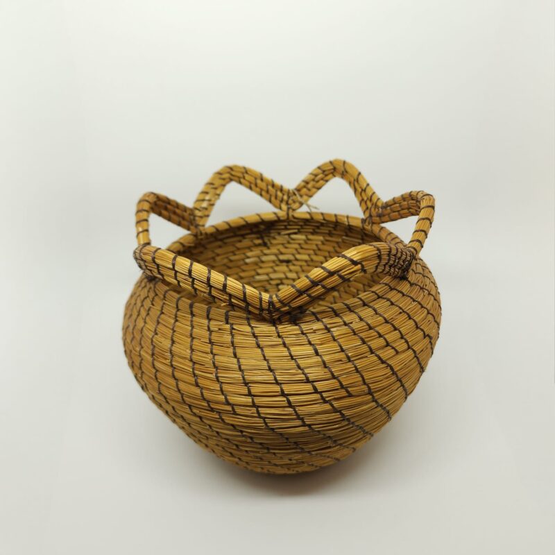 Vaso de Capim Dourado Linha Preta