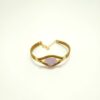 ##PULSEIRA CAPIM DOURADO