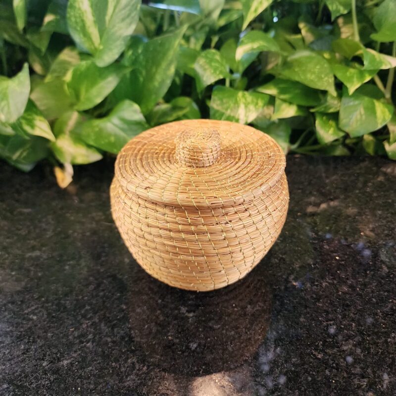 #POTE CAPIM DOURADO LINHA DOURADA