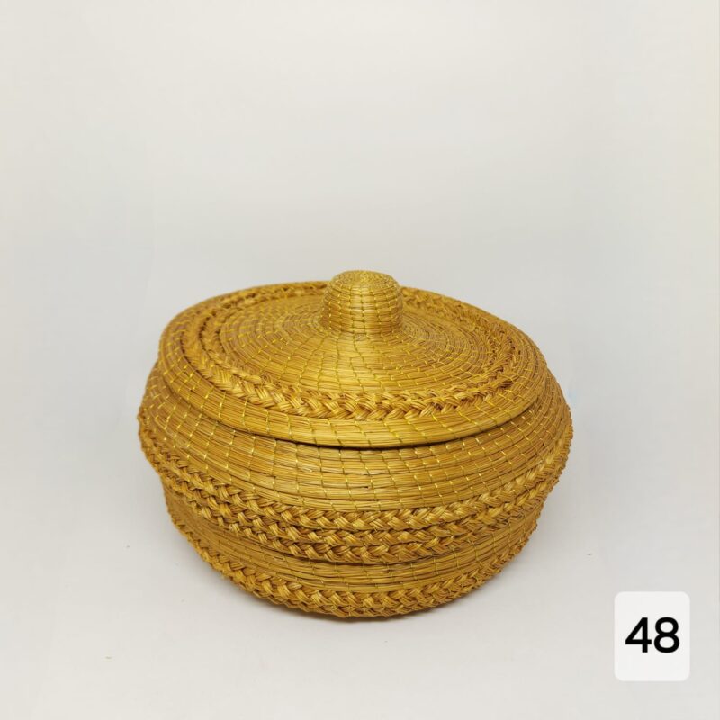 ##POTE CACHEPO C.DOURADO (49;50)