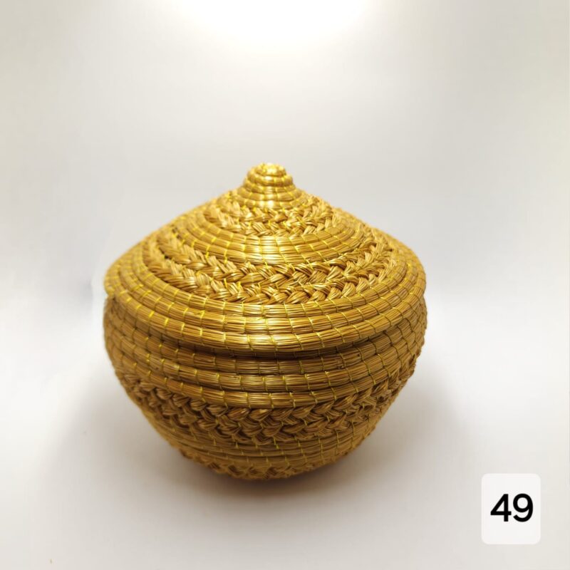 ##POTE CACHEPO C.DOURADO (49;50)