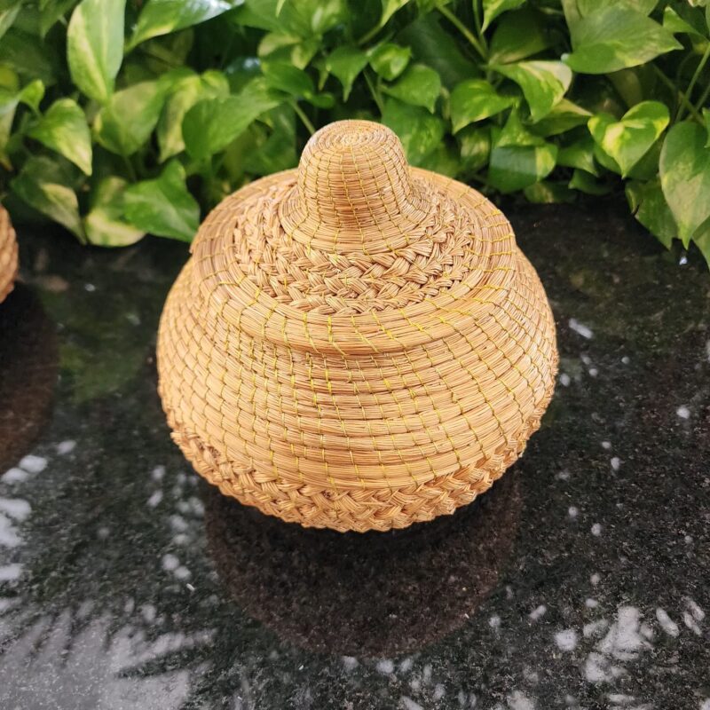 ##POTE CACHEPO C.DOURADO (41;43;44)