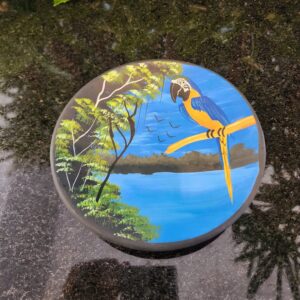 #PRATO CERAMICA FAUNA TO PINTADO A MÃO LIVRE ARARA CANINDE