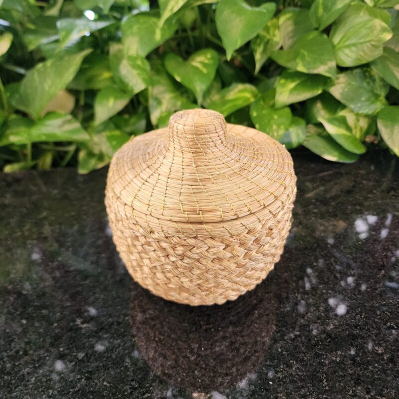 #POTE CAPIM DOURADO #