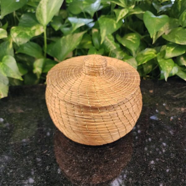 ##POTE CAPIM DOURADO# - Imagem 2