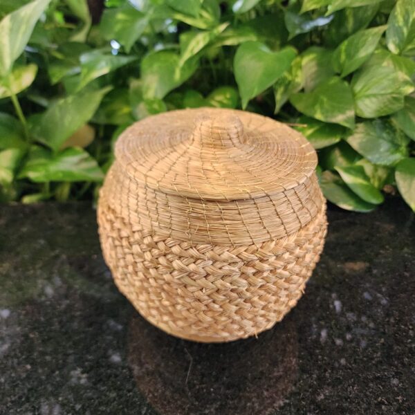 ## POTE CAPIM DOURADO # - Imagem 2
