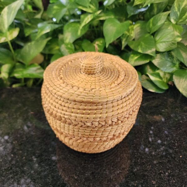 ## POTE CAPIM DOURADO # - Imagem 3