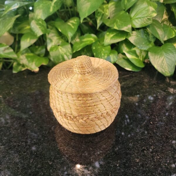 ##POTE CAPIM DOURADO# - Imagem 4