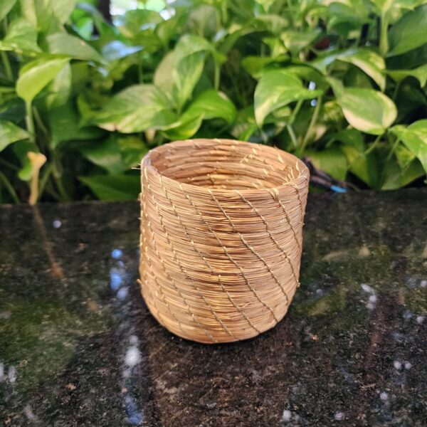 Porta Caneta de Capim Dourado Costurado Linha Dourada